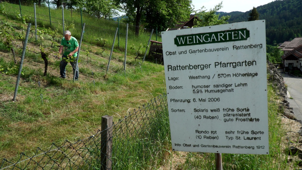 Rattenberg Peter Graf bei der Triebkorrektur