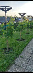 Trierer Räder in Winhöring