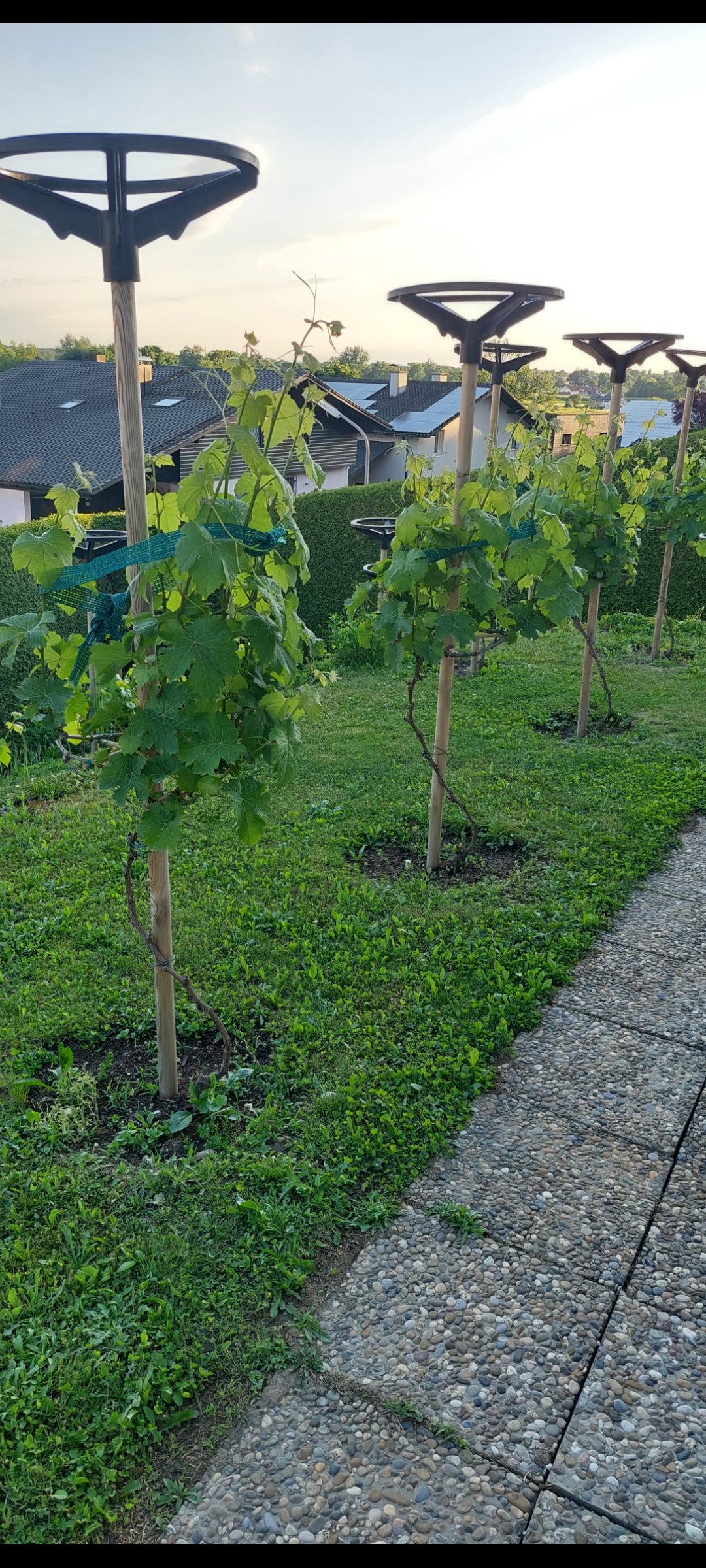 Trierer Räder in Winhöring